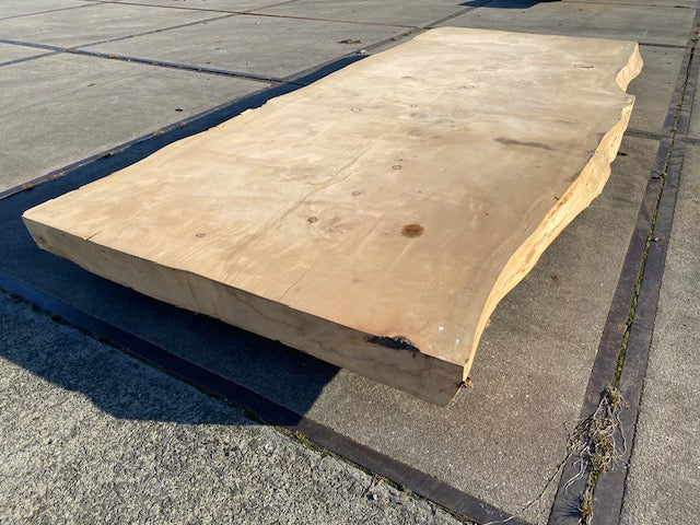 Ceder Boomstamblad – 2860 x 1200 x 120 mm – Geschuurd