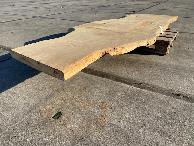 Ceder Boomstamblad – 2850 x 980 x 60 mm – Geschuurd