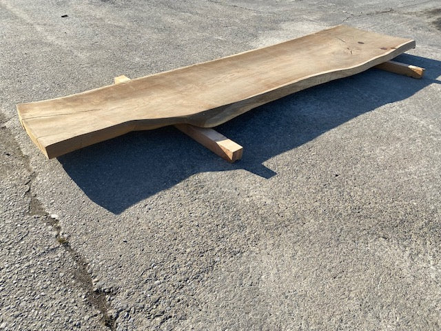 Planche en tronc de Chêne – 2980 x 660 x 55 mm – Ponçé