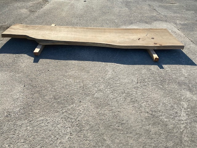 Planche en tronc de Chêne – 2980 x 660 x 55 mm – Ponçé