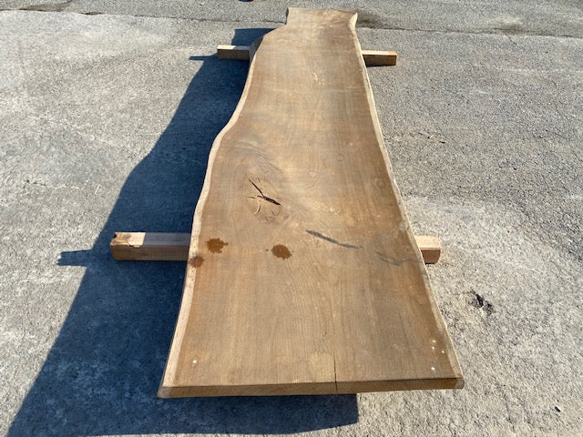 Planche en tronc de Chêne – 2980 x 660 x 55 mm – Ponçé