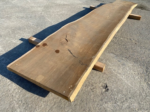 Planche en tronc de Chêne – 2980 x 660 x 55 mm – Ponçé