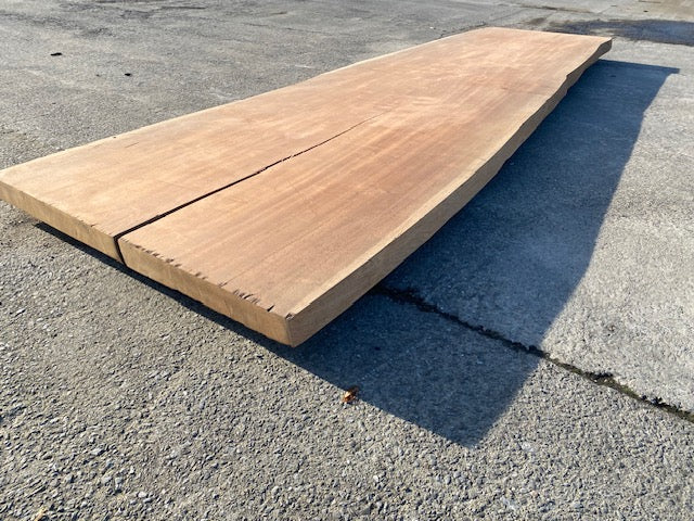 Afrormosia Boomstamblad – 4230 x 1210 x 80 mm – Geschuurd