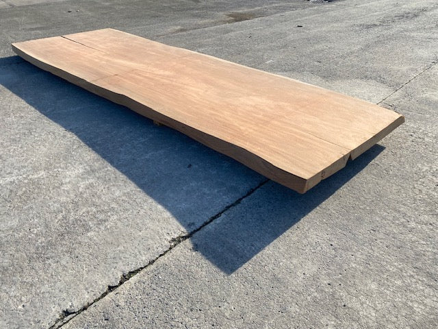 Afrormosia Boomstamblad – 4230 x 1210 x 80 mm – Geschuurd