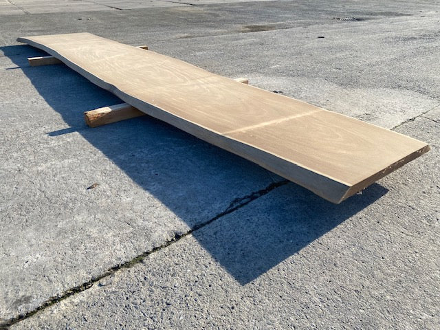 Afrormosia Log Leaf – 4500 x 720 x 40 mm