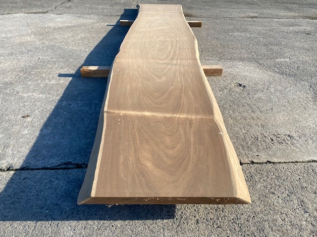 Afrormosia Log Leaf – 4500 x 720 x 40 mm
