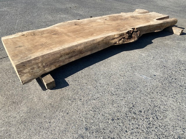 Planche en tronc de peuplier– 3480 x 760 x 80 mm – Ponçé