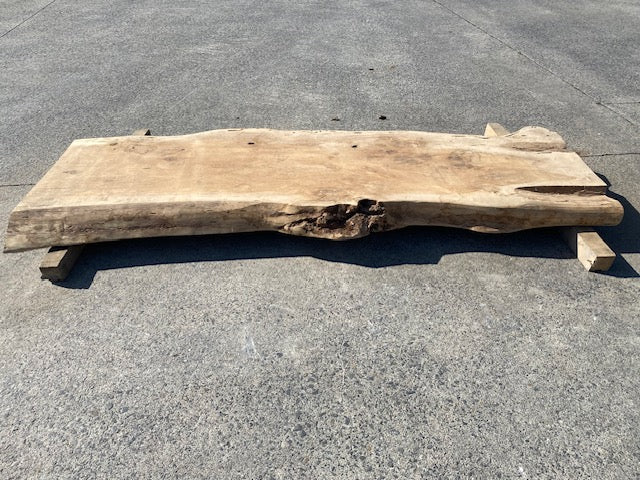 Planche en tronc de peuplier– 3480 x 760 x 80 mm – Ponçé