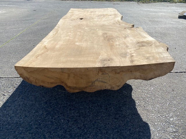 Ceder Boomstamblad – 2280 x 760 x 180 mm – Geschuurd