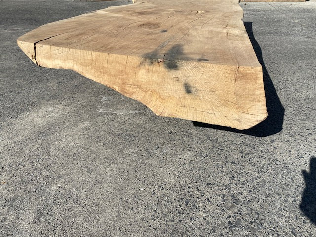 Ceder Boomstamblad – 2280 x 760 x 180 mm – Geschuurd