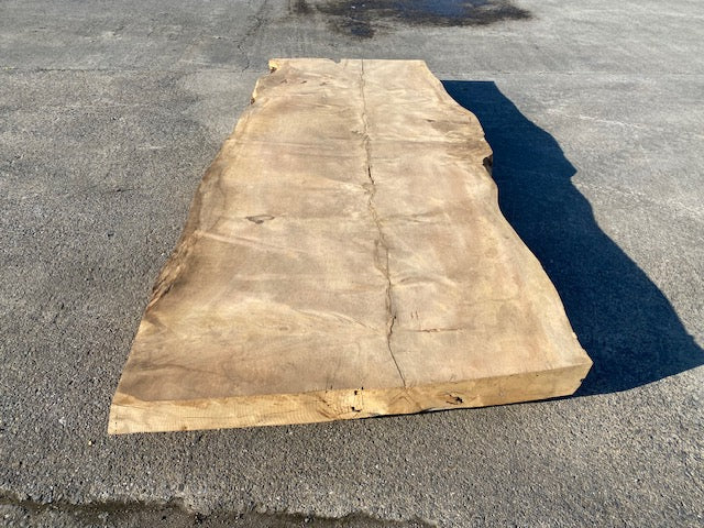 Cedar Live Edge Slab –  2870 x 1270 x 120 mm – Sanded