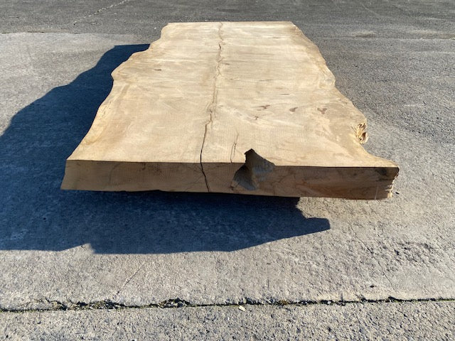 Cedar Live Edge Slab –  2870 x 1270 x 120 mm – Sanded