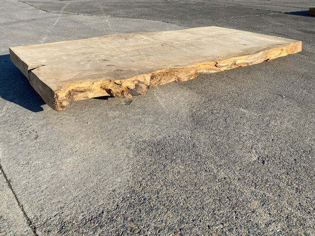 Cedar Live Edge Slab –  2870 x 1270 x 120 mm – Sanded