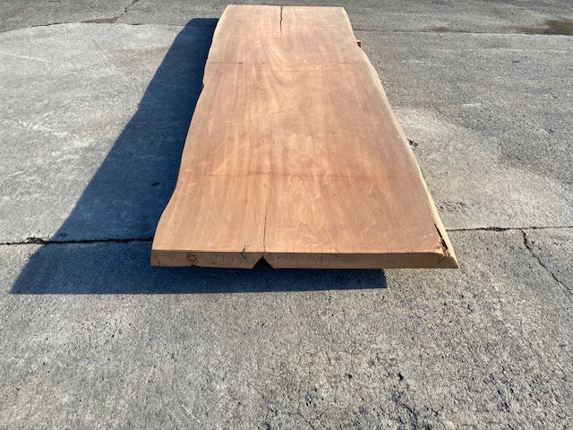 Afrormosia Boomstamblad – 4230 x 1210 x 80 mm – Geschuurd