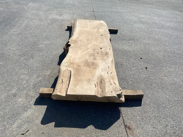 Planche en tronc de peuplier– 3480 x 760 x 80 mm – Ponçé