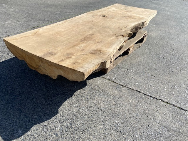 Ceder Boomstamblad – 2280 x 760 x 180 mm – Geschuurd