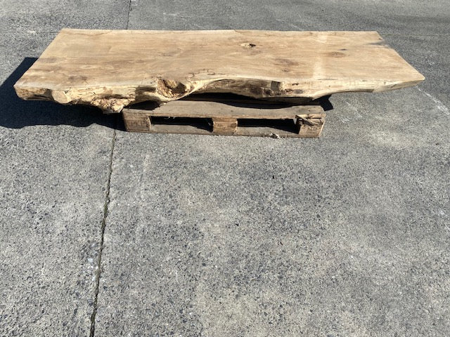 Ceder Boomstamblad – 2280 x 760 x 180 mm – Geschuurd